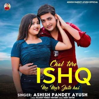 Chal Tere Ishq Me Mar Jate Hai by Ashish Pandey Ayush