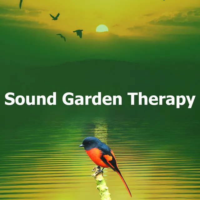 Sound Garden Therapy