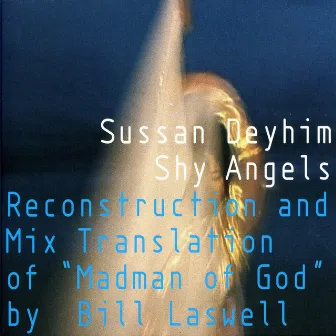 Shy Angels by Sussan Deyhim