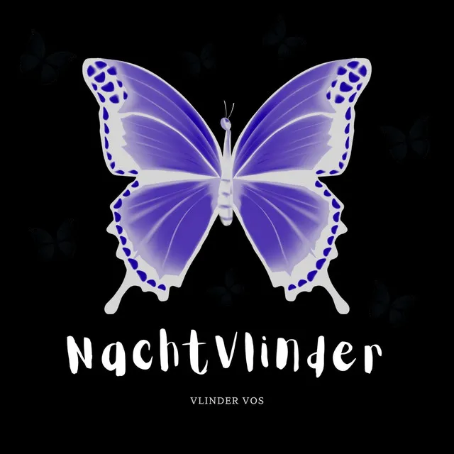 NACHTVLINDER