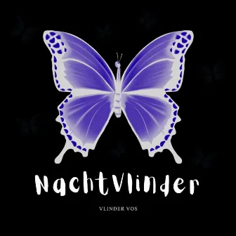 NACHTVLINDER by Vlinder Vos