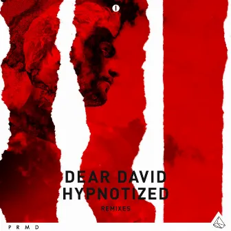 Hypnotized (Remixes) by Dear David