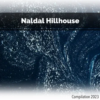 Naldal Hillhouse Compilation 2023 by Benny Montaquila DJ