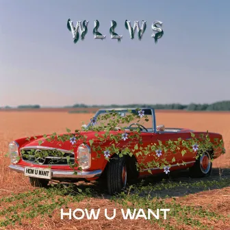 How U Want by WLLWS