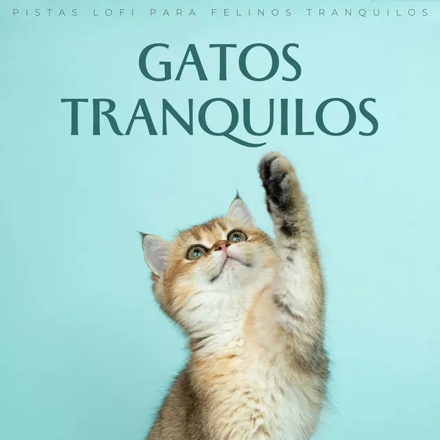 Gatos Tranquilos: Pistas Lofi Para Felinos Tranquilos