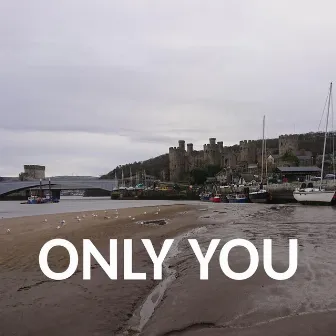 Only You by Ethan Miller