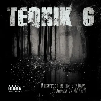 Apparition in the Shadows by Teqnik G