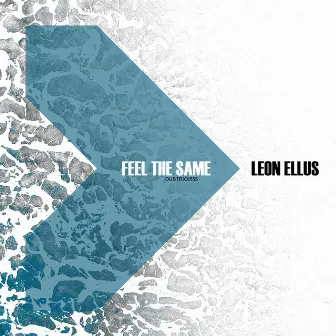 Feel the same by Leon Ellus