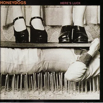 Here's Luck by The Honeydogs