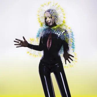 Vulnicura by Björk