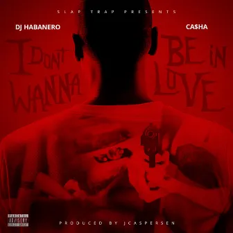 I Dont Wanna Be In Love by DJ Habanero