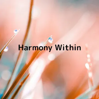 Harmony Within by Calming Chords