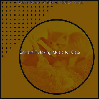 Modern Music for Kittens - Guitar Music by Brilliant Relaxing Music for Cats