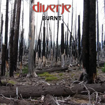 Burnt by Diverje