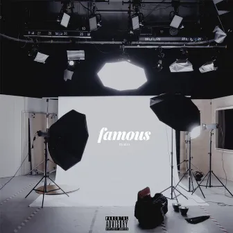 Famous (feat. Reason and Sy) [Remix] by Dibi