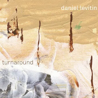 Turnaround by Daniel Levitin