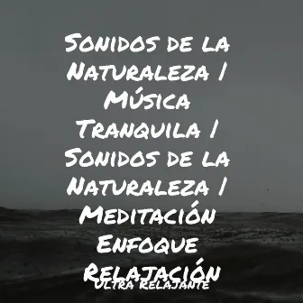 Sonidos de la Naturaleza | Música Tranquila | Sonidos de la Naturaleza | Meditación Enfoque Relajación by Jazz Para Crianças