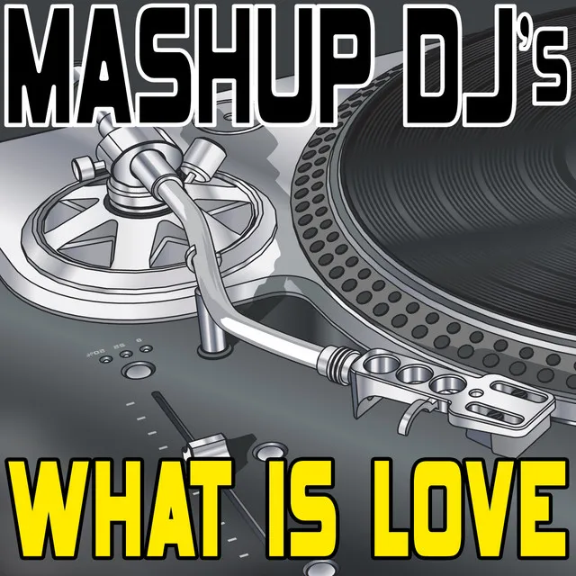 What Is Love (Original Radio Mix) [Re-Mix Tool]