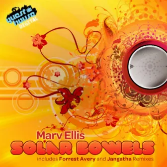 Solar Bowls by Marv Ellis