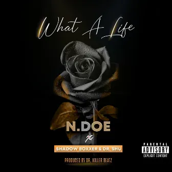 What A Life by N.Doe