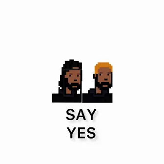 SAY YES (THE FERN) by Drexal Flowers