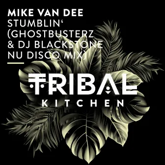 Stumblin' (Ghostbusterz & DJ Blackstone Nu Disco Mix) by Mike Van Dee