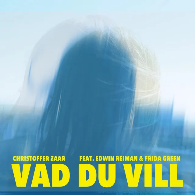 Vad du vill - Remix