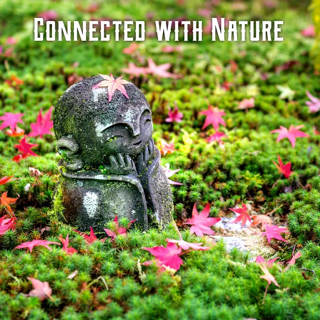 Connected with Nature - Create an Outdoor Meditation Space with Instrumental Melodies with Beautiful Nature