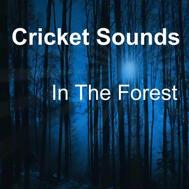 Cricket Sounds In The Forest