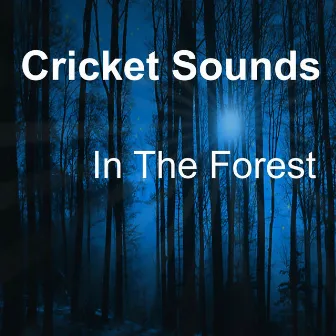 Cricket Sounds In The Forest by Crickets Tinnitus Relaxation