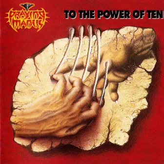 To the Power of Ten by Praying Mantis