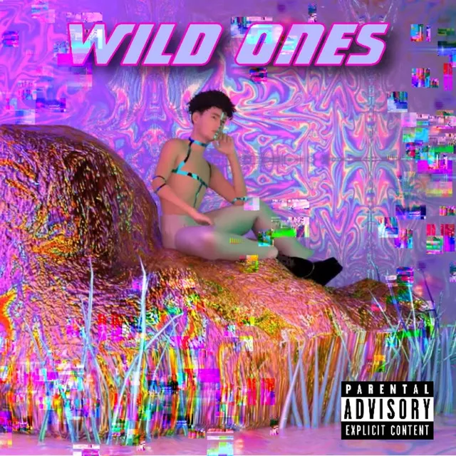 Wild Ones