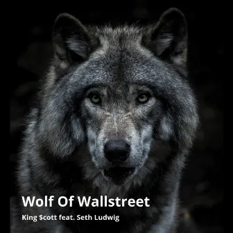 Wolf of Wallstreet by King $cott