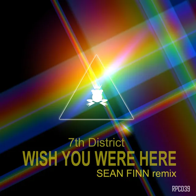 Wish You Were Here (Sean Finn Remix)