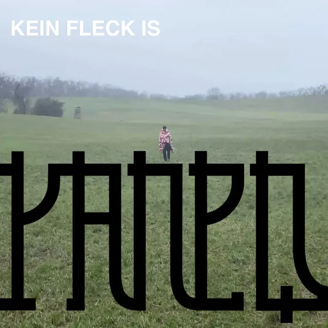 Kein Fleck Is