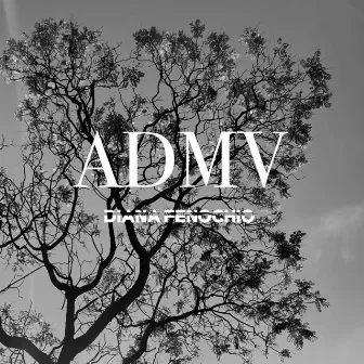 Admv (Cover) by Diana Fenochio