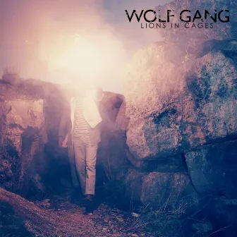 Lions In Cages by Wolf Gang