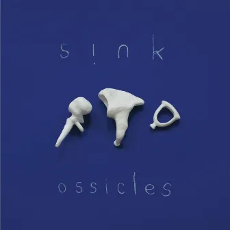 Ossicles by Sink