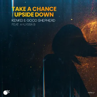 Take A Chance / Upside Down by good shepherd