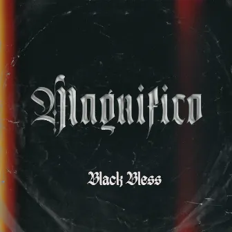 Magnifico by Black Bless