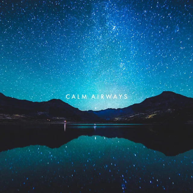 CALM AIRWAYS