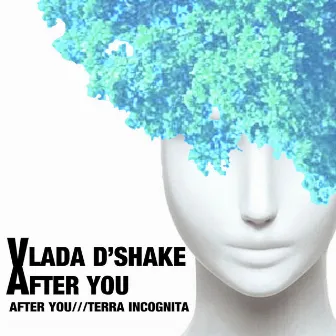 After You by Vlada D’Shake