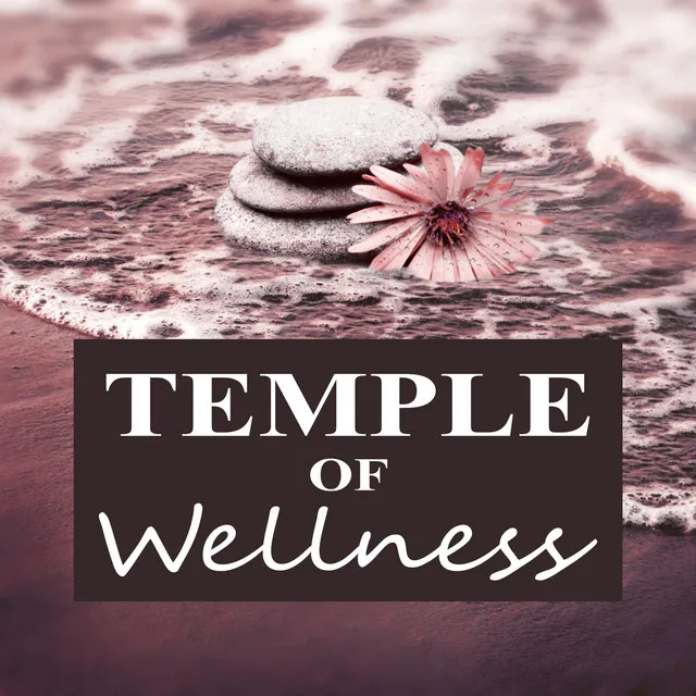 Temple of Wellness – Pure Sound, Nature Sounds for Stress Relief, Background Music for Sensual Massage, New Age, Soothing Music, Harmony of Senses