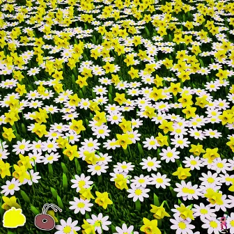 Daffodils & Daisys by Ant's Beats