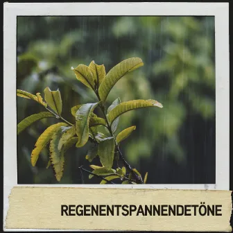 Regenentspannendetöne: Sanfte Pitter-Pattern zur Entspannung by Rain Wonder