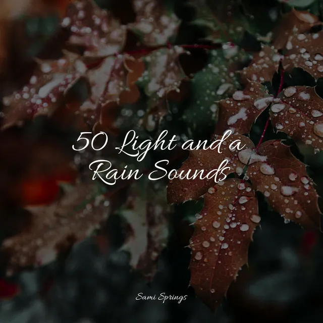 50 Light and a Rain Sounds