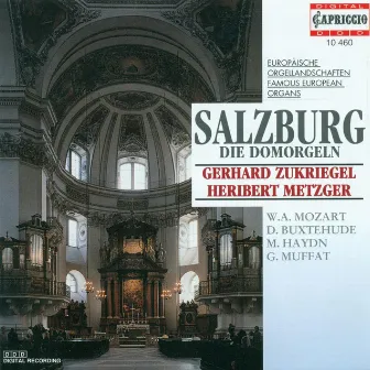 Organ Recital: Metzger, Heribert / Zukriegel, Gerhard - Buxtehude, D. / Bruna, P. / Piazza, G. / Muffat, G. / Haydn, M. / Eberlin, J.E. by Gerhard Zukriegel