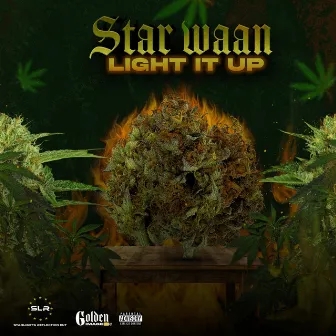 Light It Up by Star Waan