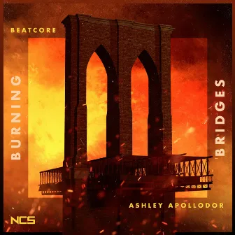 Burning Bridges by Ashley Apollodor