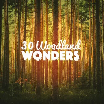 30 Woodland Wonders by Forest Sounds